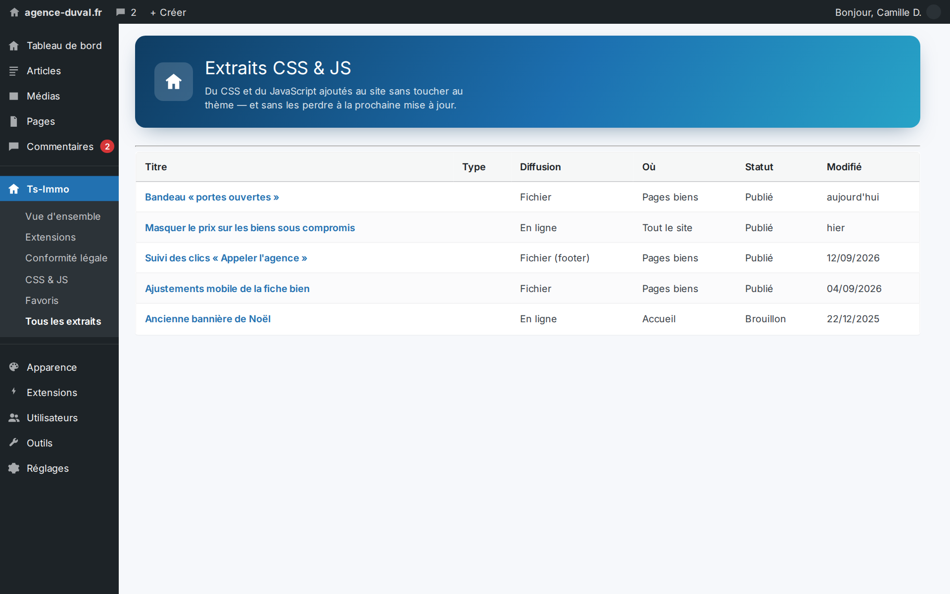 Your CSS and JS tweaks filed, dated and switchable — no more code lost inside the theme