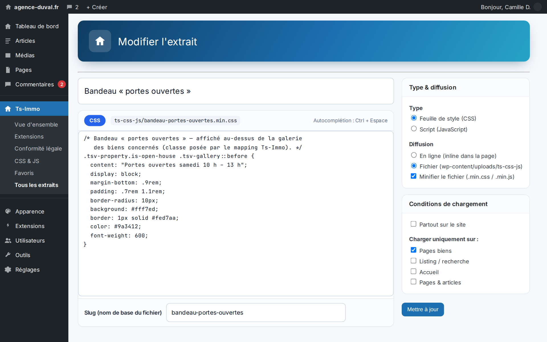 A dedicated editor: highlighting, file slug, minification — and the scope picked on the right