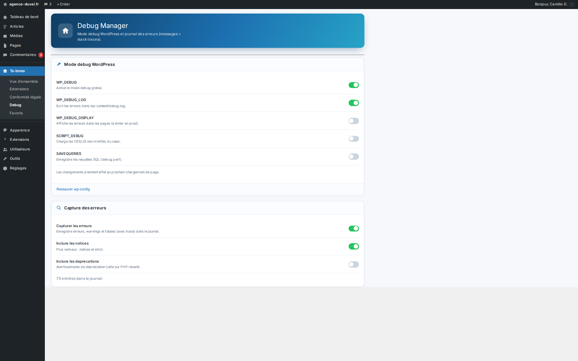 Debug constants are set from here: no more opening wp-config.php over FTP