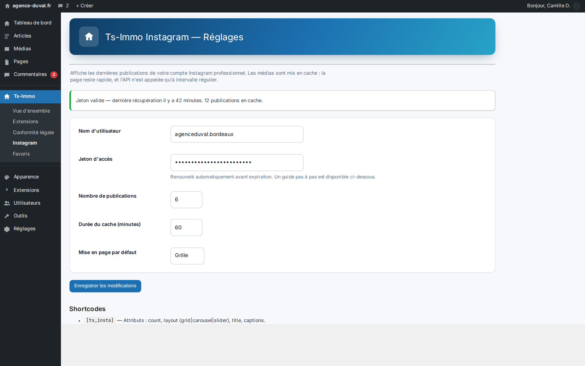 Settings: one Instagram token, auto-renewed — with a step-by-step guide to get it