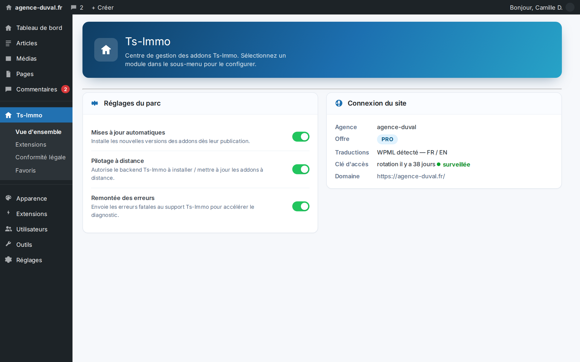 Automatic updates and remote intervention: your site maintains itself without you