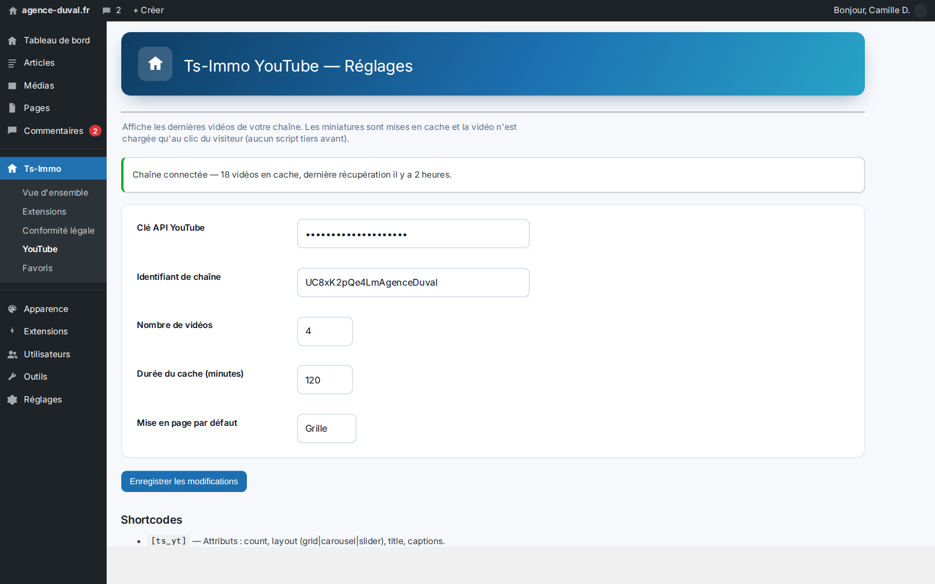 Settings: one API key and the channel ID — the rest is automatic